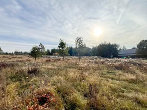 Działka 1 184,00 m², Ciasne, Sprzedaż