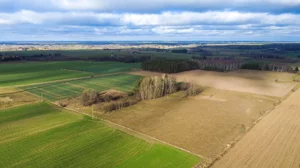 Działka 67 441,00 m², Dobrzyniówka, Sprzedaż