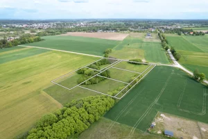 Działka 3 010,00 m², Ruszczany, Sprzedaż