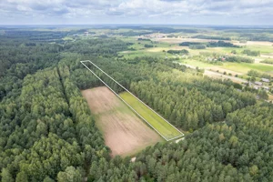 Działka 12 600,00 m², Wierzchlesie, Sprzedaż