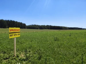 Działka 10 079,00 m², Wierzchlesie, Sprzedaż
