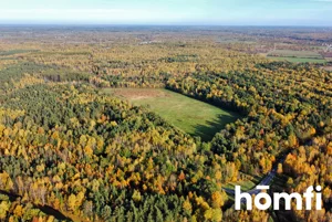 Działka 130 600,00 m², Chlewiska, Sprzedaż