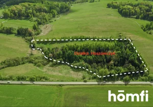 Działka 32 800,00 m², Hoszowczyk, Sprzedaż