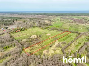 Działka 23 500,00 m², Sasino, Sprzedaż