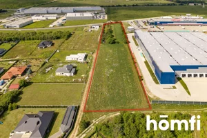 Działka 11 900,00 m², Rosanów, Stefana, Sprzedaż