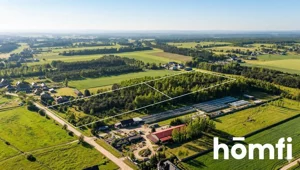 Działka 8 132,00 m², Zaborowie, Sprzedaż
