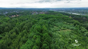 Działka 1 730,00 m², Zakrzów, Sprzedaż