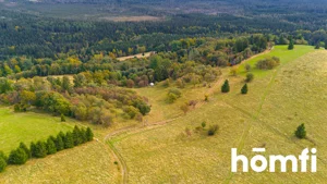Działka 4 300,00 m², Duszniki-Zdrój, Zieleniec, Sprzedaż