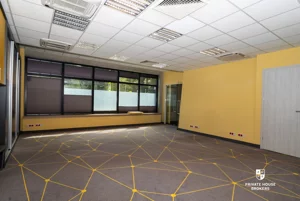 Lokal użytkowy 293,00 m², Kraków, Dębniki, Ruczaj, Lubostroń, Wynajem