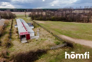 Magazyn 6 530,00 m², Wieliszew, Myśliwska, Sprzedaż