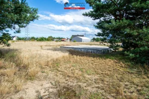 Działka 3 682,00 m², Krzyż Wielkopolski, Sprzedaż