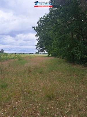 Działka 17 000,00 m², Lubasz, Sprzedaż