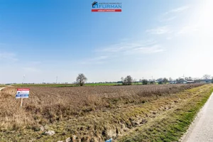 Działka 7 014,00 m², Margonin, Sprzedaż