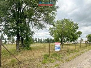 Działka 6 254,00 m², Ryczywół, Sprzedaż