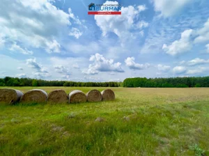 Działka 6 534,00 m², Trzcianka, Sprzedaż