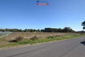 Działka 4 981,00 m², Wągrowiec, Sprzedaż