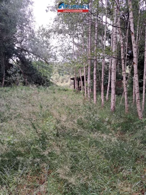Działka 26 107,00 m², Wieleń, Sprzedaż