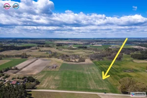 Działka 11 031,00 m², Boroszewo, Sprzedaż