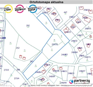 Działka 11 700,00 m², Borkowo, Karlikowska, Sprzedaż