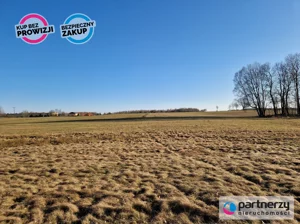 Działka 31 252,00 m², Kierzkowo, Sprzedaż