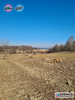 Zdjęcie oferty