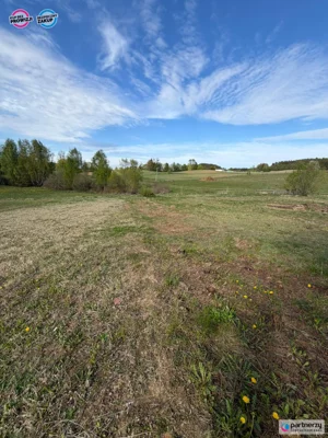 Działka 1 003,00 m², Kamień, Psale, Sprzedaż