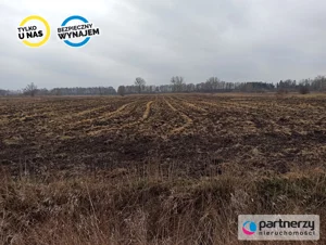 Działka 40 500,00 m², Roszkowo, Wierzbowa, Wynajem
