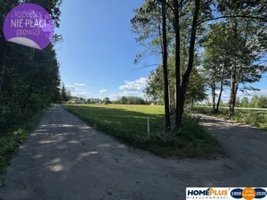 Działka 12 500,00 m², Chrzęsne, Sprzedaż