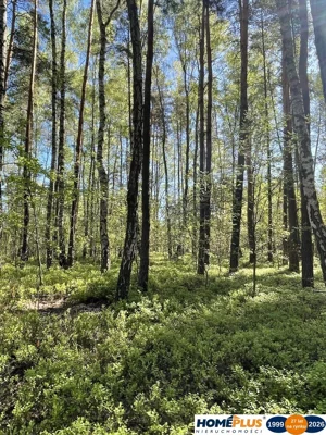 Działka 1 116,00 m², Ciemne, Sprzedaż