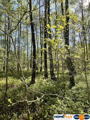 Działka 1 397,00 m², Ciemne, Sprzedaż