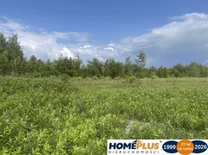 Działka 999,00 m², Ciemne, Sprzedaż