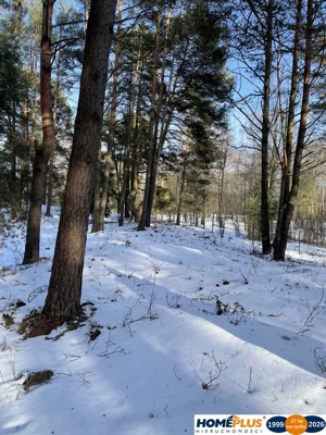 Działka 1 500,00 m², Łosie, Sprzedaż