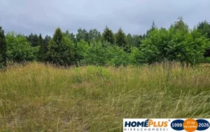 Działka 4 827,00 m², Nowe Załubice, Sprzedaż