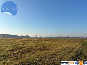 Działka 27 100,00 m², Nowe Załubice, Sprzedaż