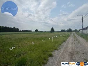 Działka 1 000,00 m², Zwierzyniec, Sprzedaż