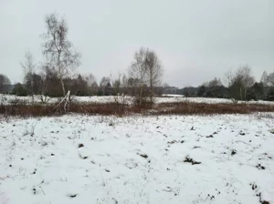 Działka 7 542,00 m², Arciechów, Sprzedaż