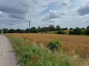 Działka 1 004,00 m², Żukowo, Dębowa, Sprzedaż