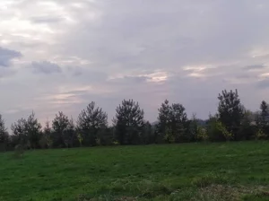 Działka 2 000,00 m², Kozłówka, Sprzedaż