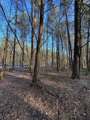 Działka 6 600,00 m², Malinniki, Sprzedaż