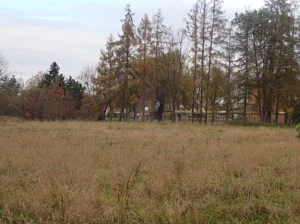 Działka 15 318,00 m², Ochaby Małe, Sprzedaż