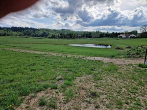Działka 1 000,00 m², Rąty, Sprzedaż
