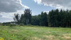 Działka 36 961,00 m², Solec-Zdrój, Sprzedaż