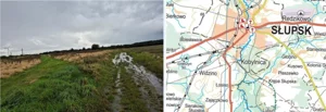 Działka 9 900,00 m², Widzino, Sprzedaż