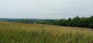 Działka 84,00 m², Zabratówka, Sprzedaż