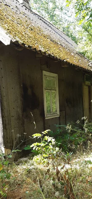 Lokal użytkowy 5 842,00 m², Topolany, Sprzedaż