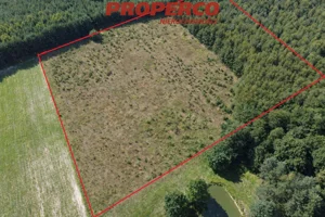 Działka 36 661,00 m², Bogoria, Sprzedaż