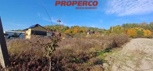 Działka 8 900,00 m², Brody, Sprzedaż