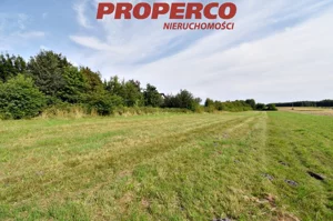 Działka 9 051,00 m², Górno, Sprzedaż