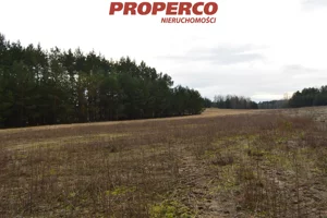 Działka 337 500,00 m², Łopuszno, Sprzedaż