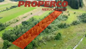 Działka 11 100,00 m², Łopuszno, Sprzedaż